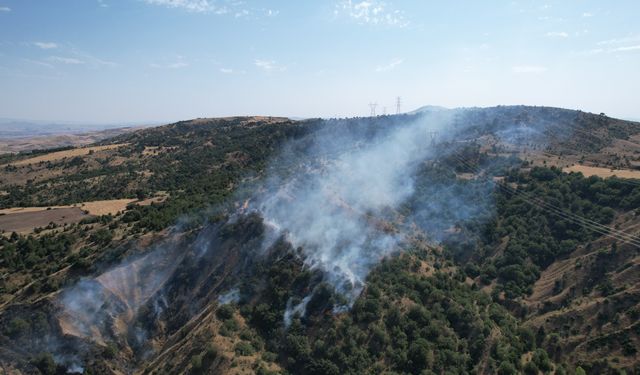 Ankara'daki yangın kontrol altına alındı