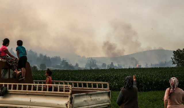 Bilecik'te yangın söndürülemiyor