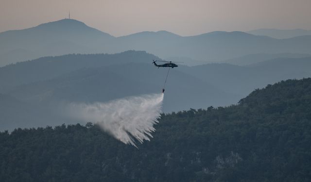 Bodrum'da yangın çıktı