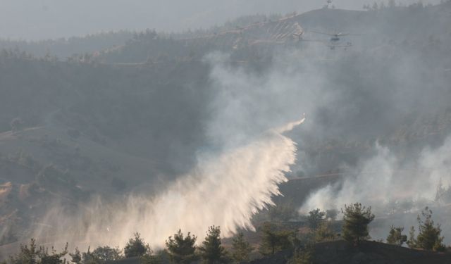 Kahramanmaraş'taki yangın saatlerce söndürülemedi