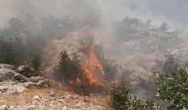 Diyarbakır’da orman yangını: Havadan ve karadan müdahale!