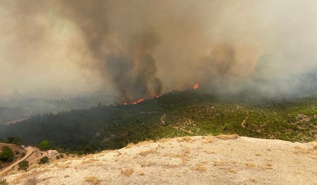 Çanakkale’de orman yangını: 1 köy boşaltıldı