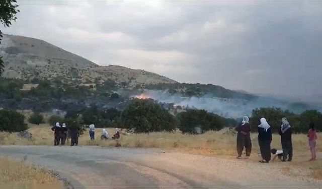 Yıldırım yangın çıkardı