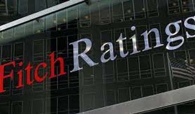 Fitch'ten şaşırtan rapor