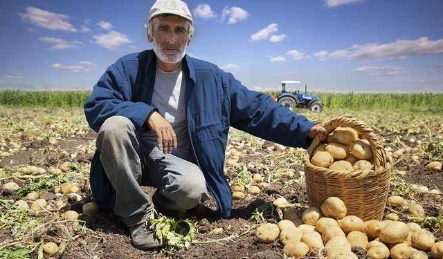 TÜİK Tarım ÜFE rakamlarını açıkladı!