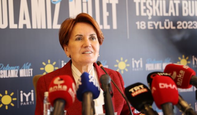 Akşener'den 'Levent Gültekin' açıklaması: Mahkemeye vereceğim