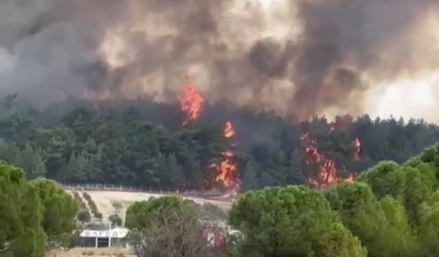 İzmir’de büyük yangın kontrol altında!