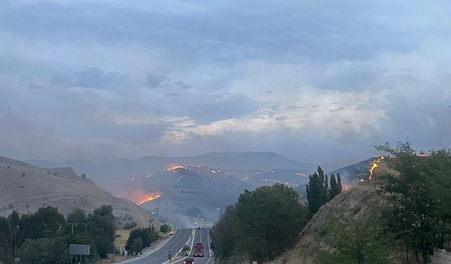 Malatya'da korkutan yangın