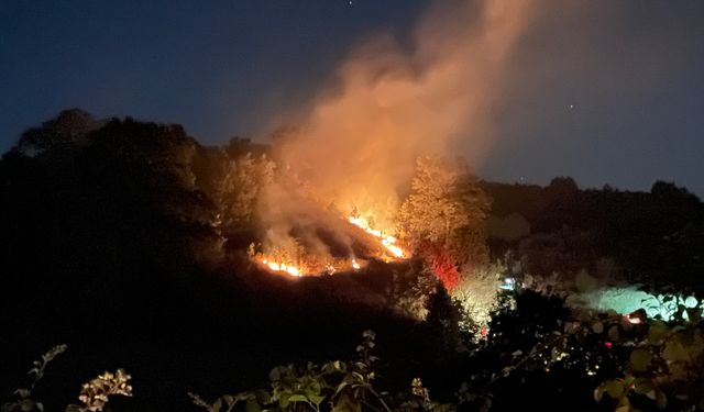 Anız yangını korkuttu