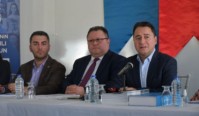 Babacan: Koordinasyon yapısına biraz güç verin!