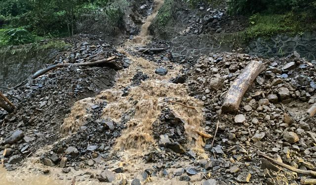 Rize'de yoğun yağış hayatı felç etti