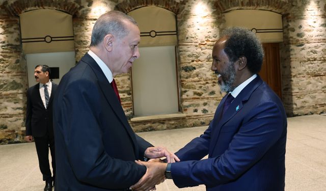 Erdoğan, Somalili mevkidaşı Şeyh Mahmud ile görüştü