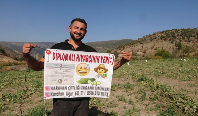 Atanamayınca 'Diplomalı Hıyarcı' oldu