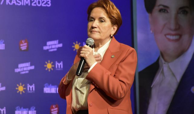 Akşener: Nasıl bir siyasi parti olduğumuzu anlatamadık