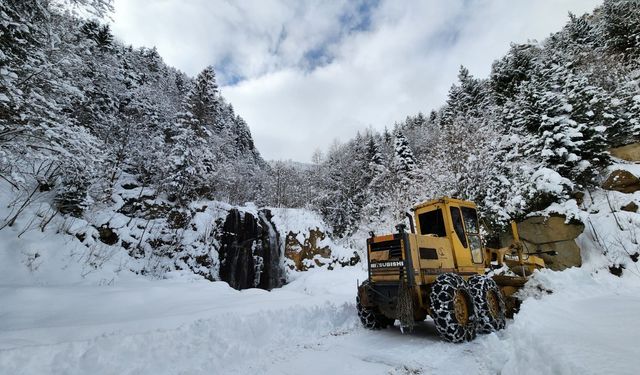 Onlarca köy yolu kar nedeniyle ulaşıma kapandı