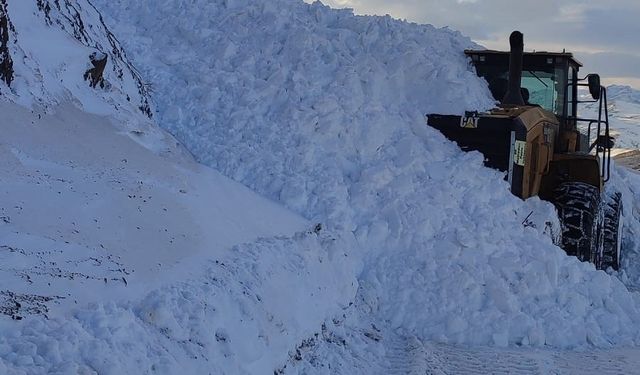 Van’da iş makinesinin üzerine çığ düştü