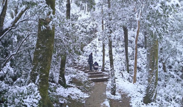 Soğuk hava dalgası 2 günde 145 can aldı