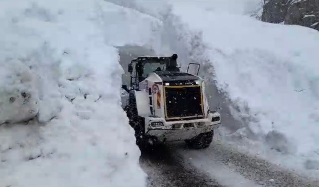 Hakkari'de çığ düştü!