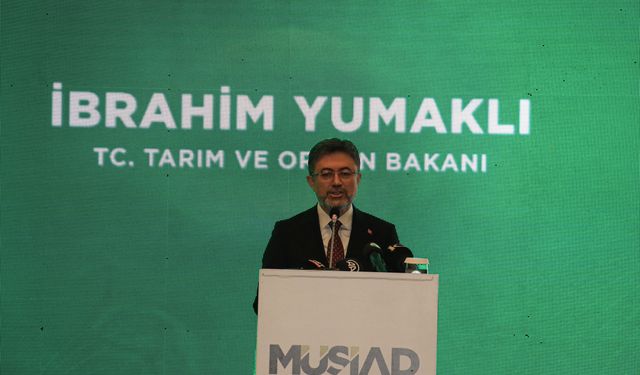 2050 yılında yüzde 55 daha fazla suya ihtiyaç olacak