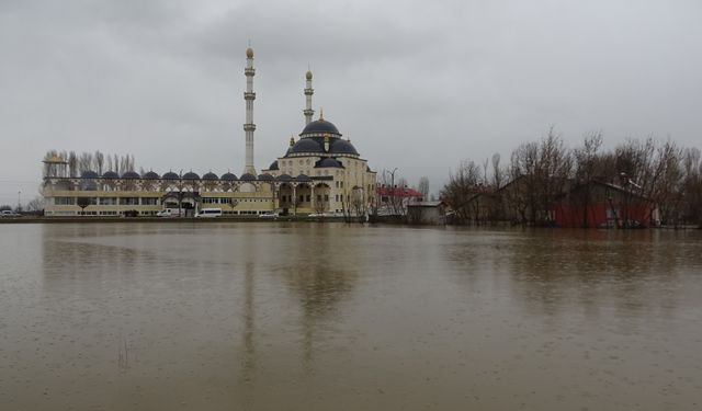 Muş Ovası su altında kaldı!