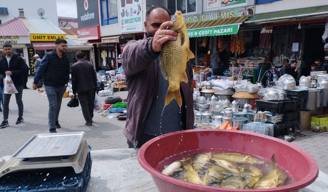 Et pahalı olunca balığa yöneldiler