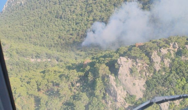 Antalya’daki orman yangını kontrol altına alındı