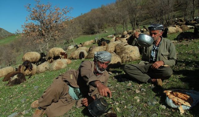 Hane halkı büyüklüğü en yüksek il Şırnak oldu!