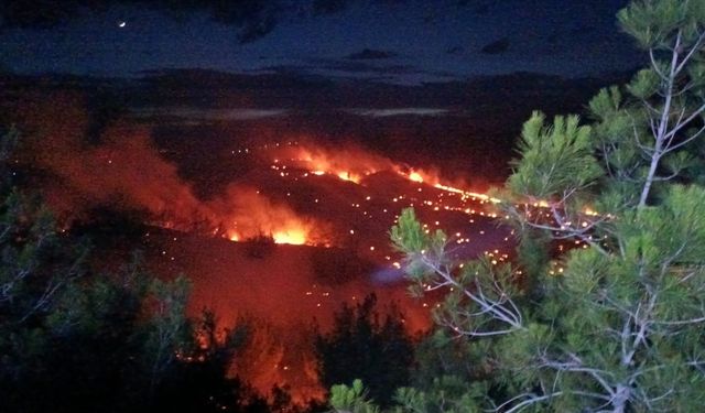 Adana’da orman yangını