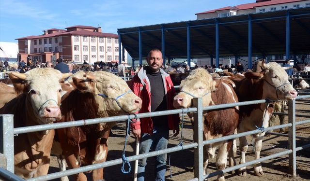 Kurbanlık alışverişi hareketlendi!