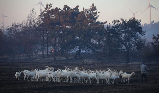 Çanakkale'de tarım arazisinde çıkan yangına müdahale edildi