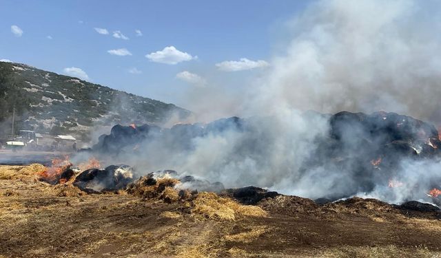 Burdur'da büyük yangın