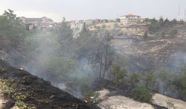 Denizli'deki orman yangınına müdahale ediliyor