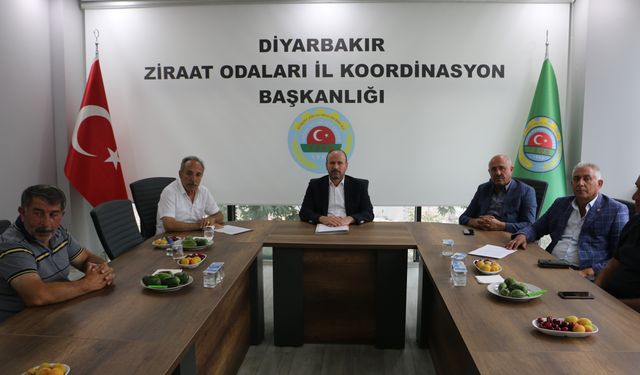 Diyarbakır'da çiftçiler hububat fiyatlarından memnun değil