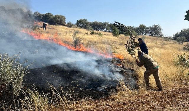 Mardin'de çıkan yangınlar söndürüldü