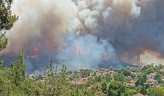 İzmir'deki yangına havadan ve karadan müdahale!