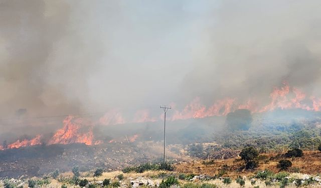 Tatil bölgesi Çeşme de yanıyor: Otoban trafiğe kapatıldı!