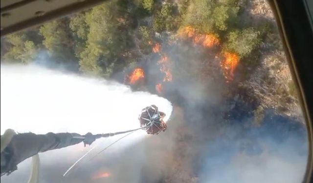 Selçuk'taki yangın Kuşadası'na sıçradı