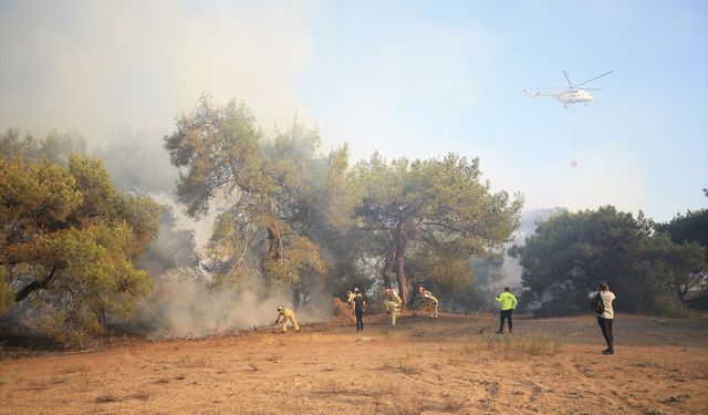 Marmaris'teki yangında 3 gözaltı