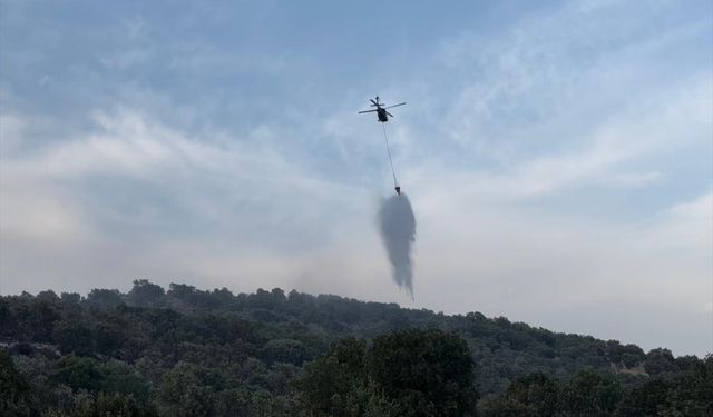 Diyarbakır'ın iki ilçesinde çıkan orman yangınları kontrol altına alındı