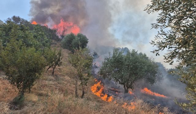 Manisa'da büyük yangın: Havdan ve karadan müdahale!