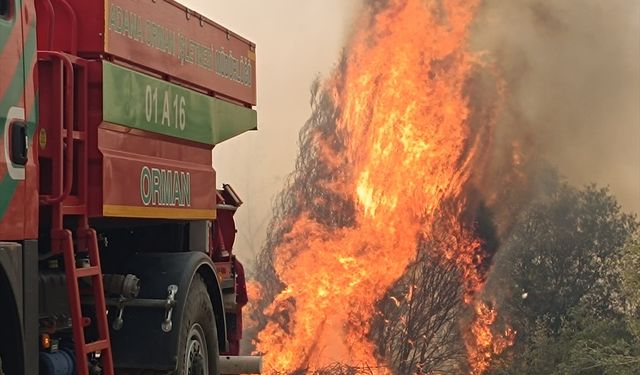 Adana'da orman yangını: Havadan ve karadan müdahale!