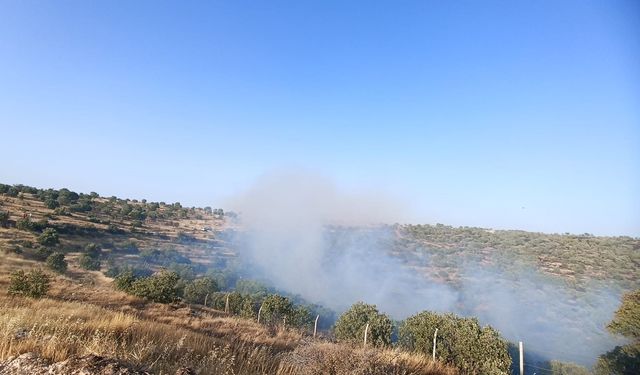 Mardin’de 5 ayrı noktada çıkan yangın söndürüldü