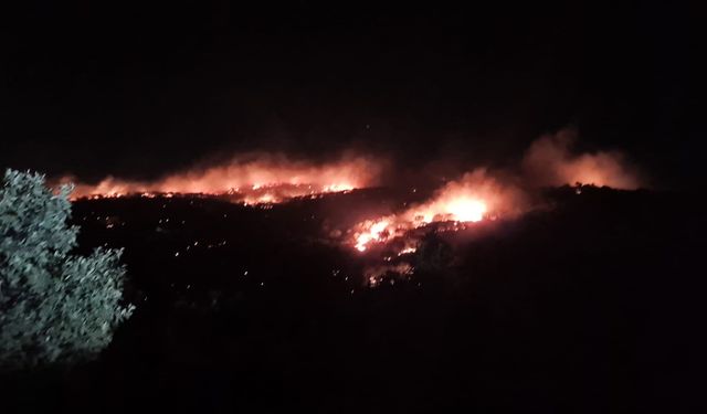 Mardin’deki yangın kontrol altına alındı