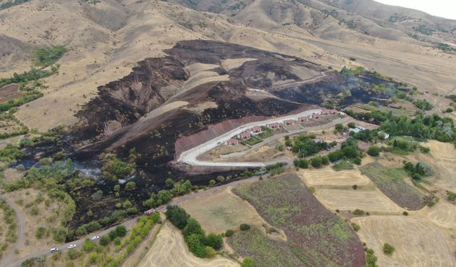 Elazığ'da 200 dönüm alan yangında kül oldu