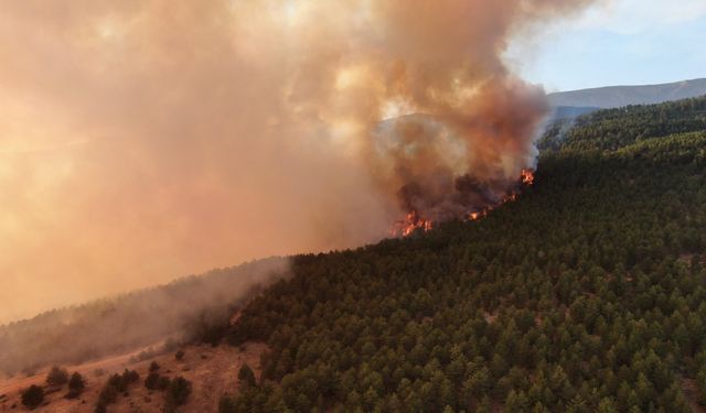 Ilgaz'daki felaket havadan görüntülendi