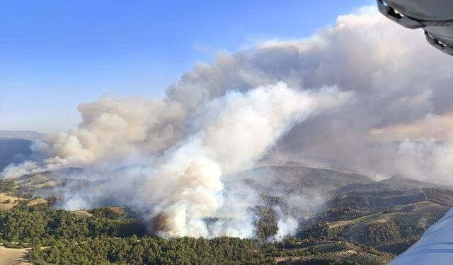 Bozdoğan alevlere teslim