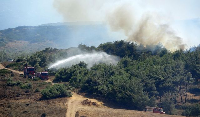 Bozcaada'da yangın