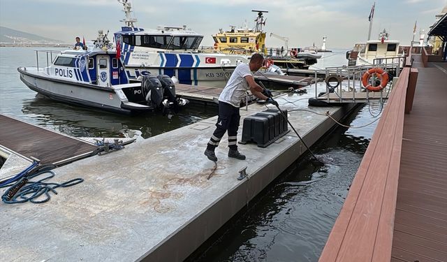 İzmir Körfezi'nde balık ölümleri sürüyor