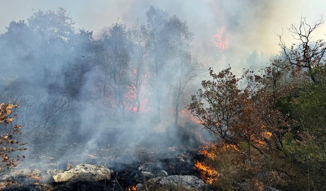 Bursa'da korkutan yangın