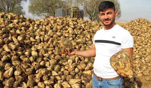 Şeker pancarı alım fiyatı belirlendi: İşte beklenen o rakam!